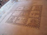 Besichtigung der Mosaiken und das Haus des Dionisos (4)