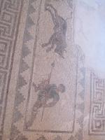 Besichtigung der Mosaiken und das Haus des Dionisos (9)