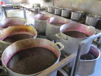 Besichtigung der Süßwaren-Herstellung (2)