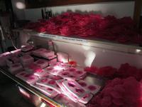 Besuch der Rosenmanufaktur