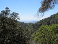 Blick über das Toodosgebirge