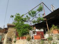 Dorfrundgang in Kakopetria