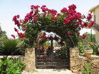 an der Abtei Bellapais