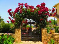 an der Abtei Bellapais