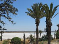 Salzsee bei Larnaca