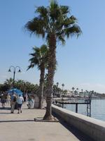 Hafen Paphos