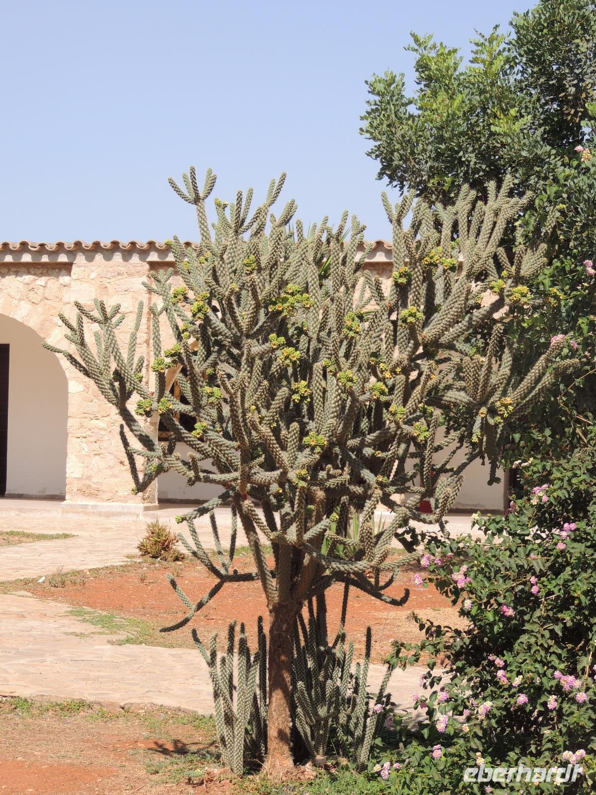 Heiliges Barnabas Kloster