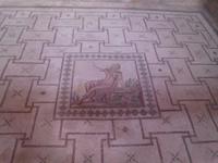 Paphos -Haus des Dionysus