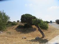 Auf dem Weg zum Antiken Königreich Kourion