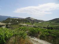 Auf dem Weg zum Weingut Gerolemos