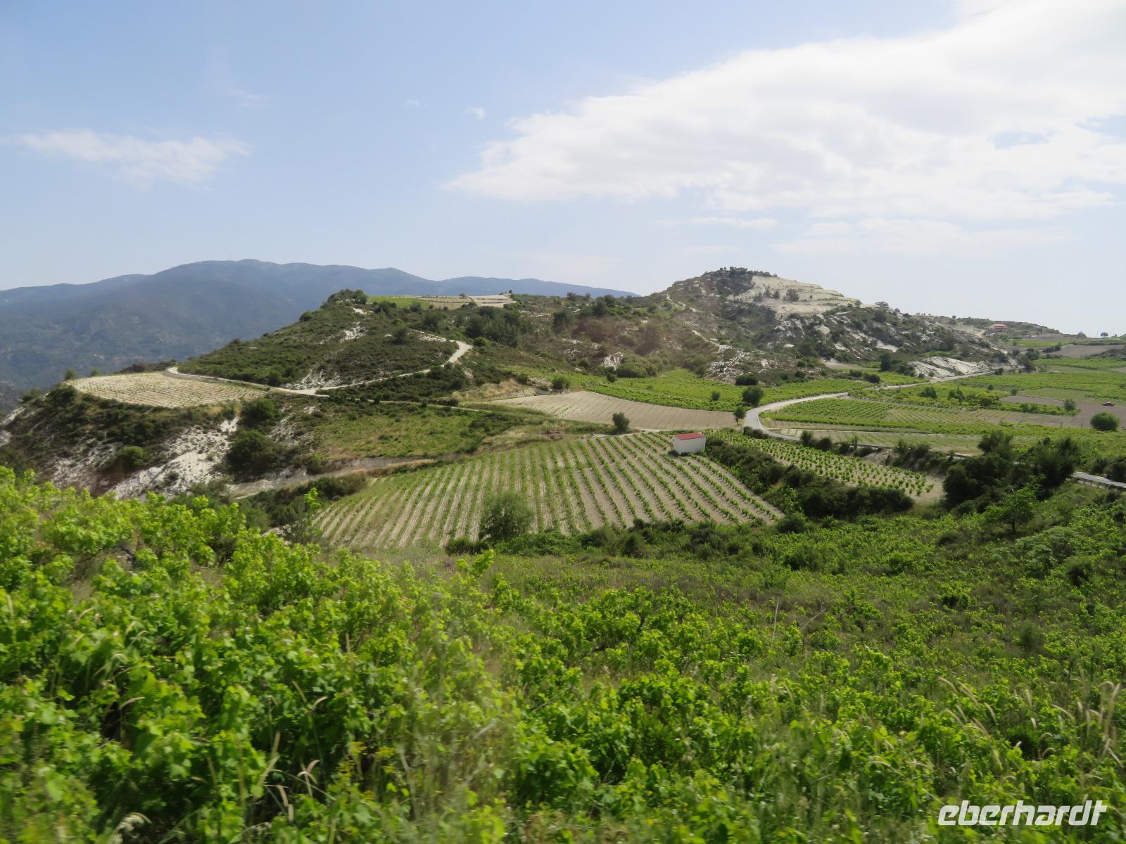 Auf dem Weg zum Weingut Gerolemos