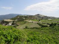 Auf dem Weg zum Weingut Gerolemos