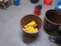 Vorbereitungen in der Süßwarenmanufaktur in Agros