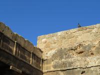 Königsgräber Paphos