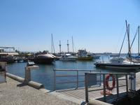 Hafen von Paphos