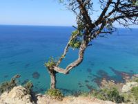 Naturschutzgebiet Akamas