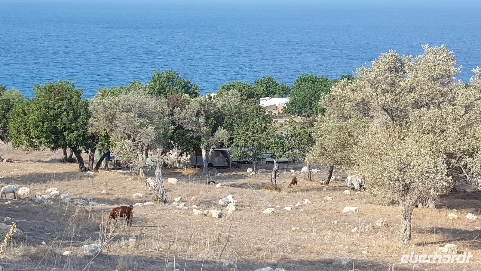 Naturschutzgebiet Akamas