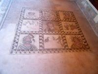 Paphos - Haus des Dionysos