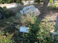 Naturschutzgebiet Akamas