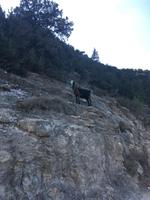 Akamas Naturschutzgebiet