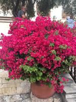 Felsenkloster des Heiligen Neophytos