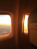 Flug von Paphos nach Dresden