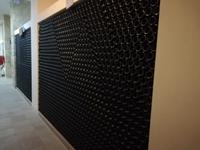 Besuch des Weinbetriebes