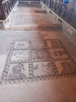 Rundreise Zypern // Mosaikausgrabung Paphos
