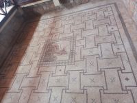 Rundreise Zypern // Mosaikausgrabung Paphos