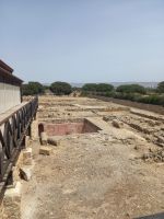 Rundreise Zypern // Mosaikausgrabung Paphos