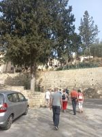 Rundreise Zypern // Ankunft am heiligen Neophytos Kloster in Paphos