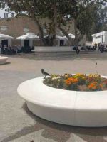 Rundreise Zypern // Paphos Hafen