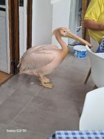 Rundreise Zypern // Paphos Hafen