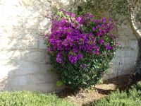 Zypern: Kloster des Heiligen Neophytos