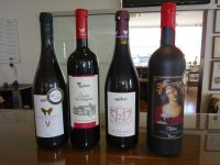 Zypern: Weinverkostung