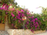 Zypern: auf der Halbinsel Akamas