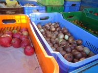 Zypern: zypriotisches Dorf Innia: Rundgang