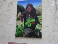 Zypern: Weindorf Arsos