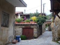 Zypern: im Bergdorf Kakopetria