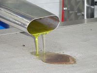 Zypern: Herstellung von Olivenöl