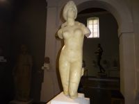 Nikosia: Rundgang: im Archäologischen Museum