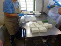 Zypern: Athienou: Halloumi-Verkostung