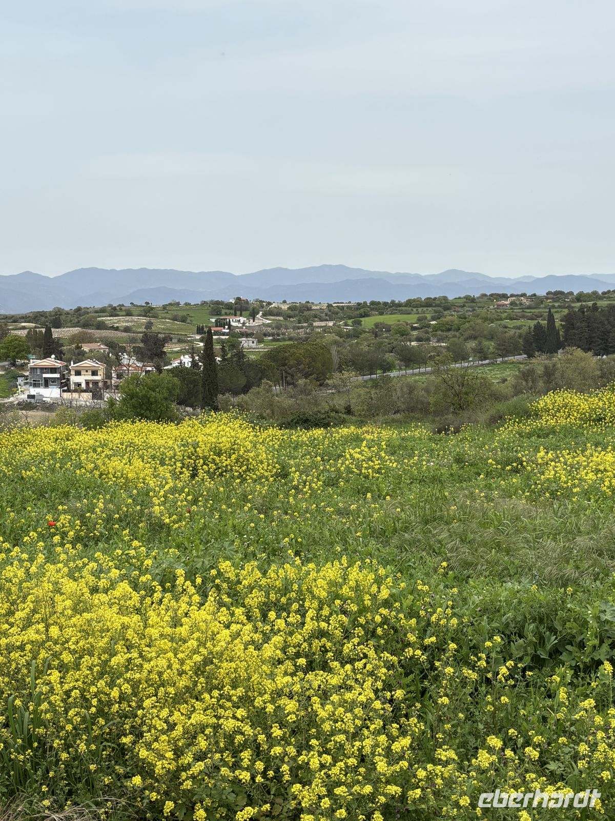 Ausblick auf Kathikas &ndash; &copy;  (Eberhardt TRAVEL)