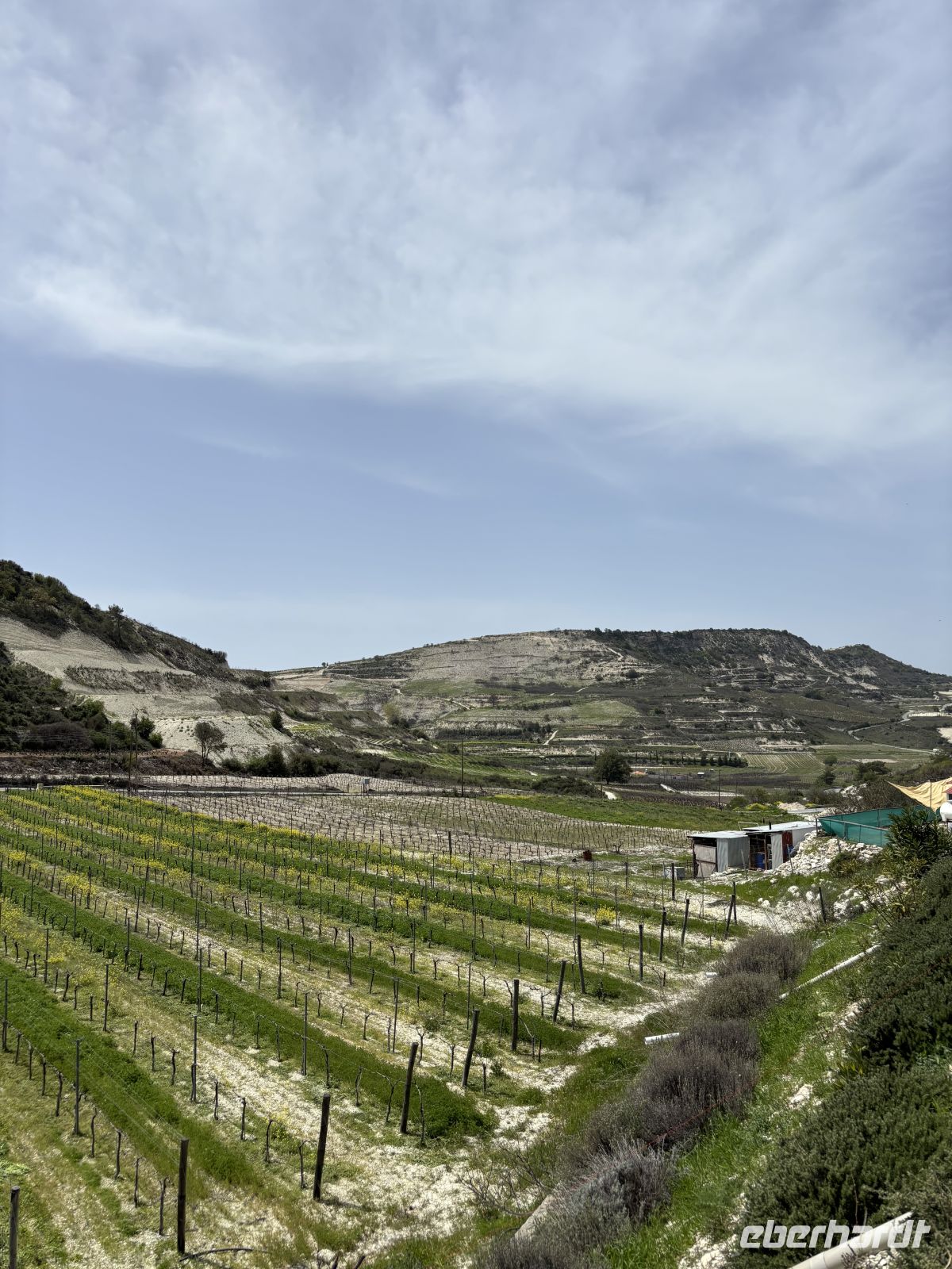 Ausblick von der Winzerei auf die Weinberge rund um Omodos &ndash; &copy;  (Eberhardt TRAVEL)