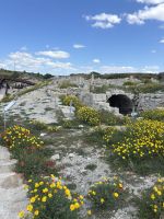 Ausgrabungsstätte Kourion bei Limassol &ndash; &copy; Josephin Bauer (Eberhardt TRAVEL)