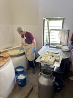 Halloumi Herstellung &ndash; &copy; Josephin Bauer (Eberhardt TRAVEL)