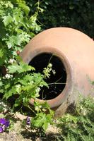 Weinverkostung in Koilani