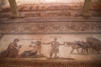 Bodenmosaike von Paphos