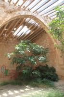 Spaziergang an der Coral Bay