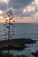 Sonnenuntergang am Hotel Cynthiana